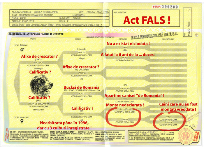 Ursula de Brillantim _ Fals - False pedigree pour chien eliberee par ACHR