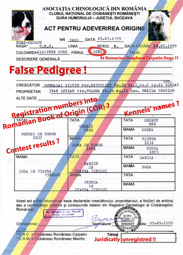 Codrut fals pedigree - False pedigree registrated and eliberated by ACHR