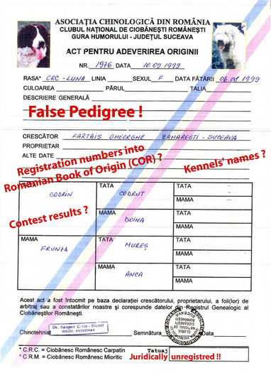 Luna fals pedigree - False pedigree registrated and eliberated by ACHR