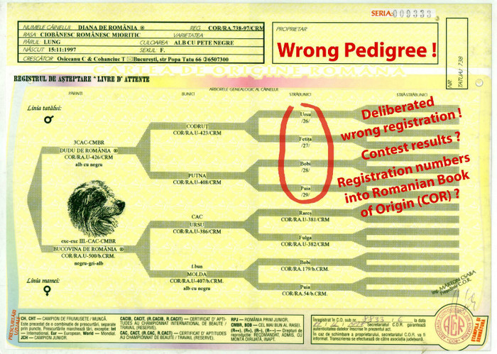 Diana de Romania fals pedigree - False pedigree registrated and eliberated by ACHR