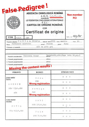 Daria de Romania fals pedigree - False pedigree registrated and eliberated by ACHR