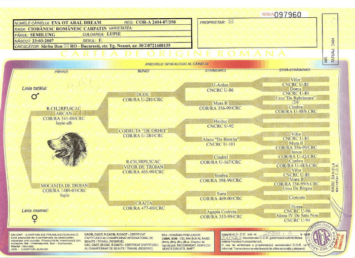 pedigree fals canisa ARAL DREAM