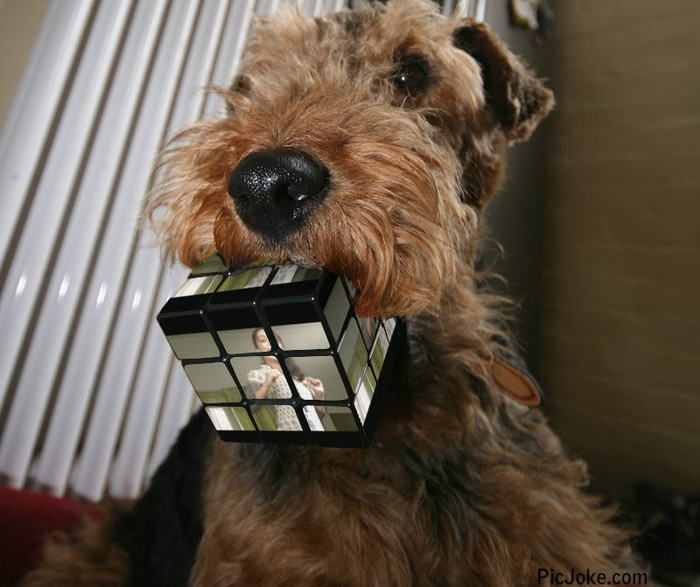 3-ro-a329a916aeba9a7a8cea5f214b86af4e_ip_178_138_34_78 - ANEESHA KAPOOR