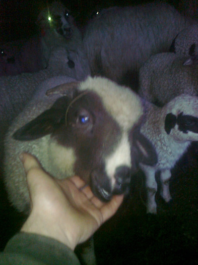 Photo0242