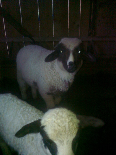 Photo0248