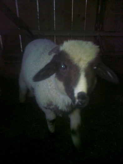 Photo0249