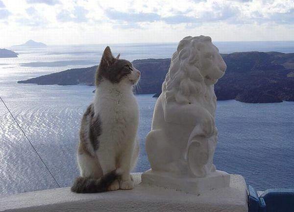 Pisi statuie