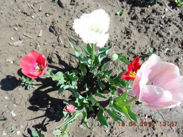 DSCN1958