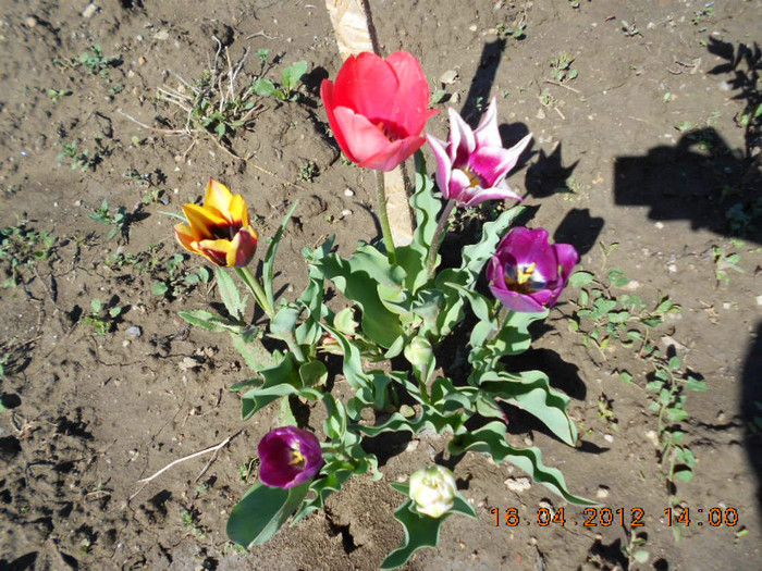 DSCN1972