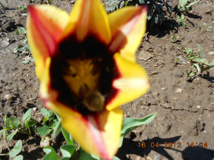 DSCN1991