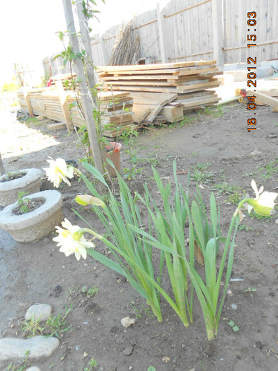 DSCN2034