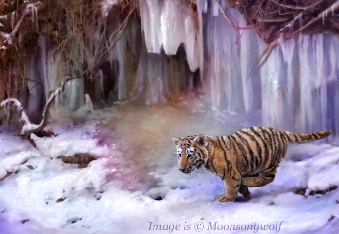 amur_tiger__sasha_by_moonsongwolf-d39cenx