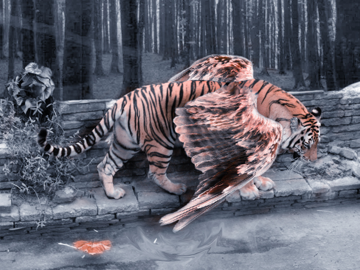 Tiger_by_WolvesIllusion - tiger