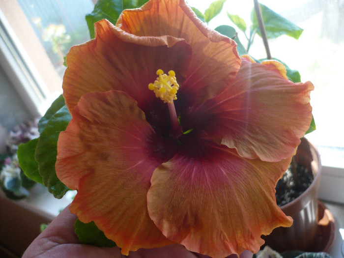 P1120870