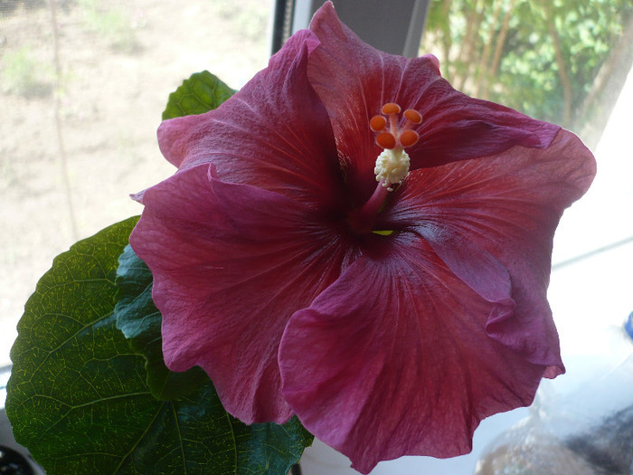 P1120880