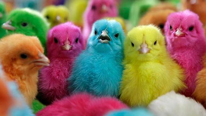 Puisori colorati