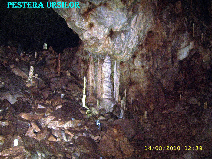 113. Pestera Ursilor 12 - Fascinanta Romanie - 4
