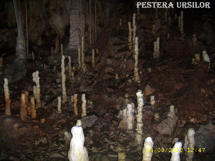 119. Pestera Ursilor (sala lumanarilor) 1