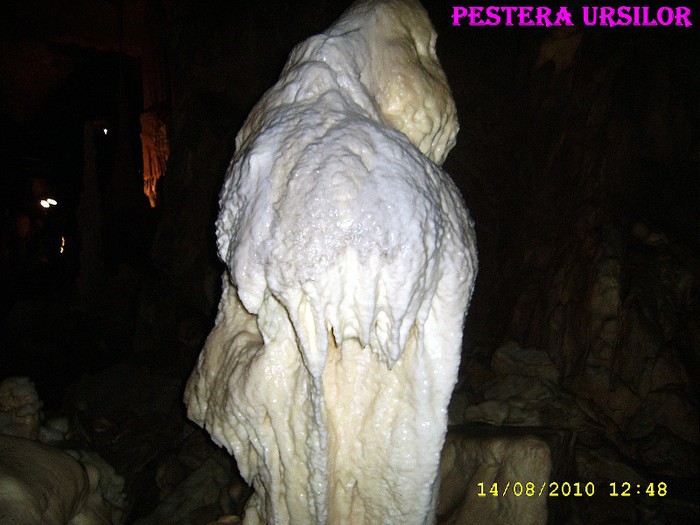 122. Pestera Ursilor 17