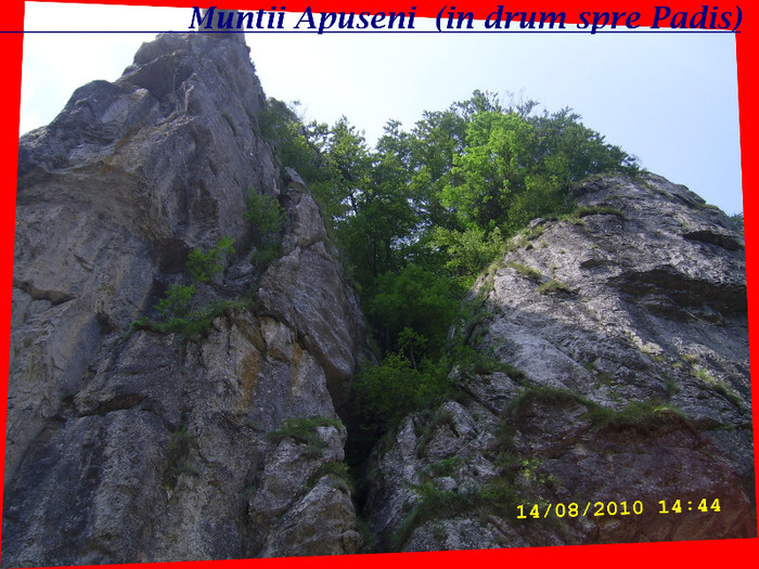 130. In drum spre Padis - Fascinanta Romanie - 4