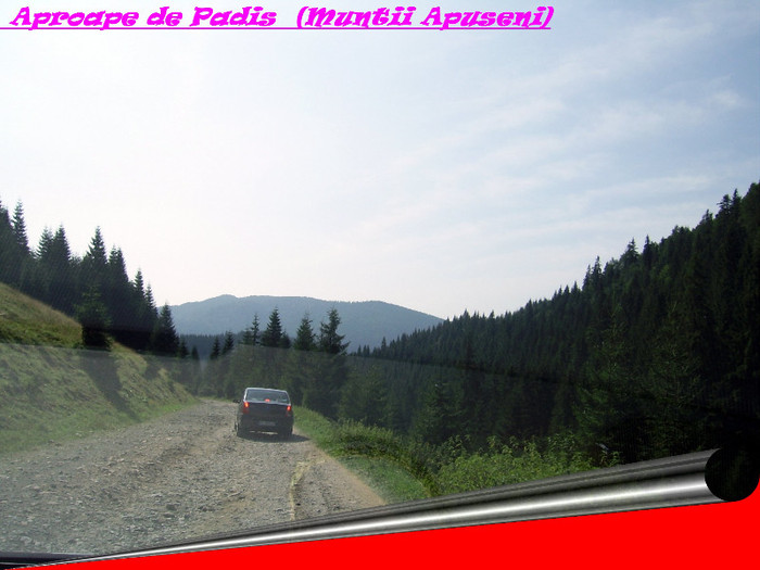 134. Aproape de Padis (Muntii Apuseni) - Fascinanta Romanie - 4