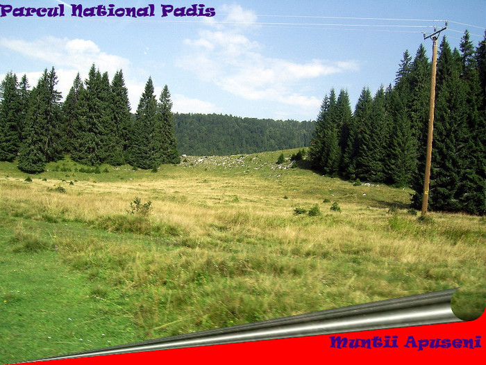 135. Rezervatia naturala Padis - Fascinanta Romanie - 4