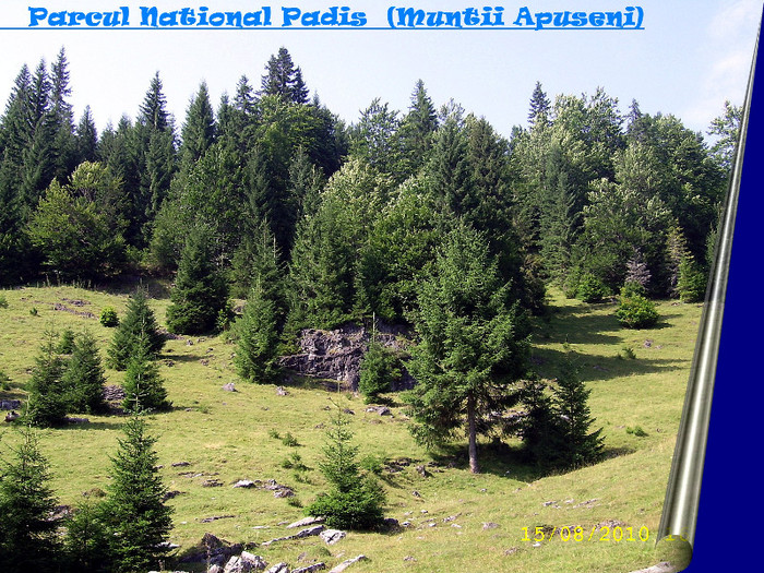 137. Rezervatia naturala Padis (2) - Fascinanta Romanie - 4