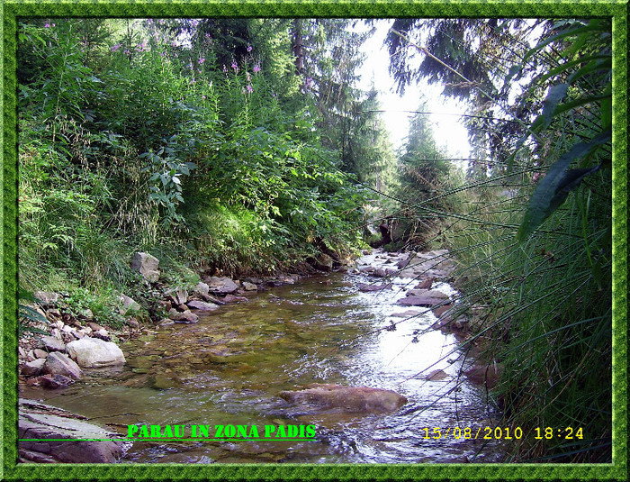 143. Susur de paraie in zona Padis - Fascinanta Romanie - 4