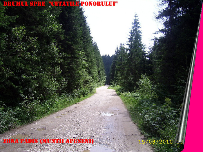 152. Drumul spre Cetatile Ponorului - Fascinanta Romanie - 4