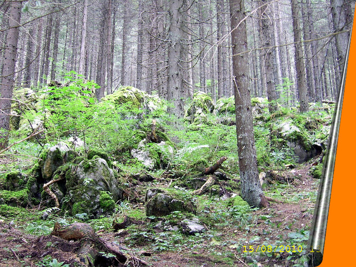 155. Pe poteci de munte - Fascinanta Romanie - 4