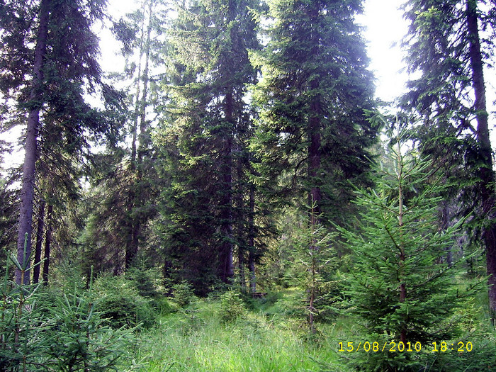 166. Peisaj montan - Fascinanta Romanie - 4