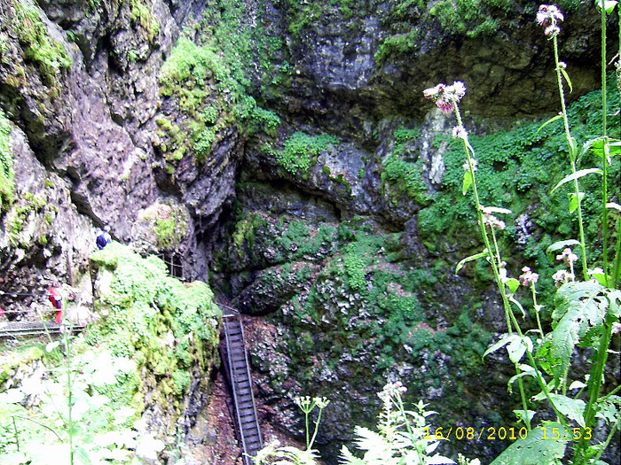 186. Drumul de acces in pestera - Fascinanta Romanie - 4