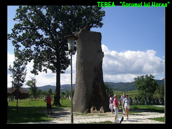 197. Tebea (Gorunul lui Horea) - Fascinanta Romanie - 4