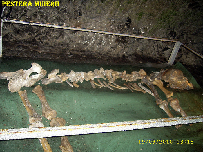 304. Osemintele ursului de caverna (1) - Fascinanta Romanie - 4