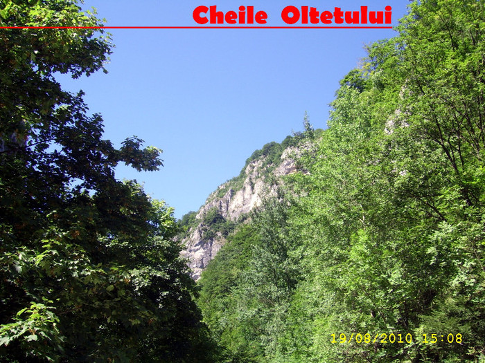 340. Cheile Oltetului (2) - Fascinanta Romanie - 4
