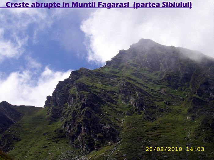 501. Creste abrupte in Muntii Fagarasi (partea Sibiului)