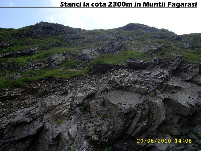 505. Stanci la cota 2300 m (Muntii Fagarasi)