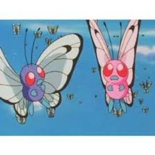 Pokemon