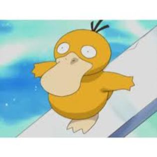 Pokemon - Pokemon