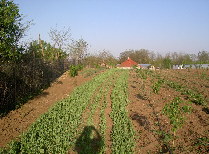 PICT6225 - 2012 Livada