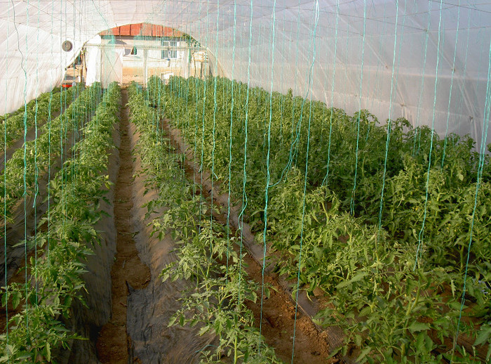 PICT6214 - 2012 Solar