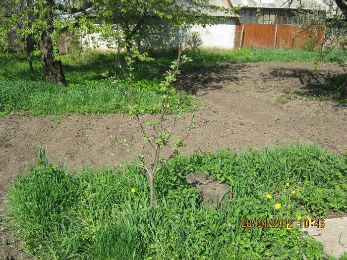 IMG_1227 - april 2012