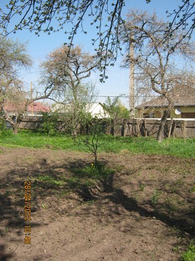 IMG_1230 - april 2012