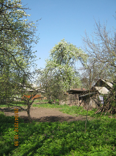 IMG_1236 - april 2012