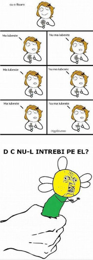 557600_313299802072891_247455941990611_813489_1989219920_n