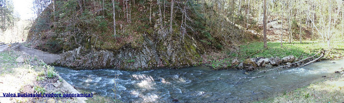 (Panoramic 2) Valea Buciasului (zona Scutaru) - SCUTARU - un colt de paradis