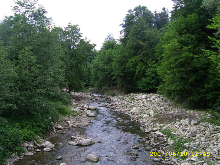 18. Scutaru - Valea Casinului