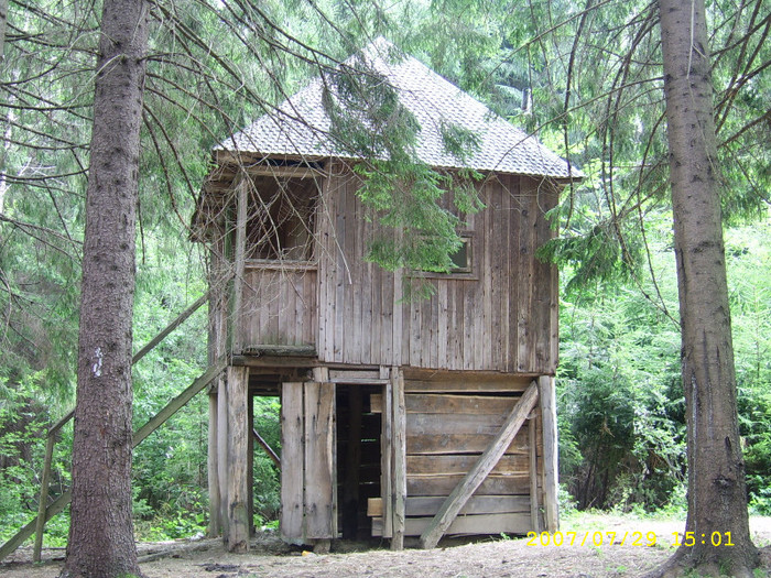 59. Cabana in munti la SCUTARU