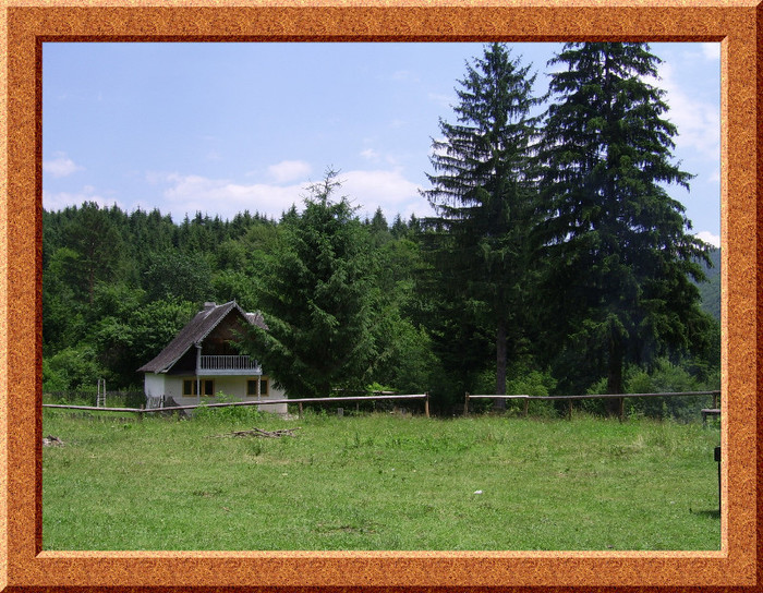 69. Cabana Bucias - SCUTARU - un colt de paradis