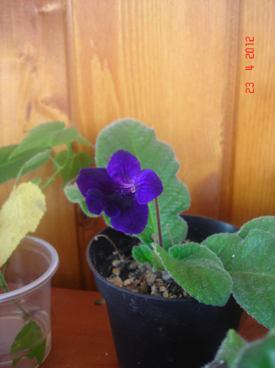 DSC04358